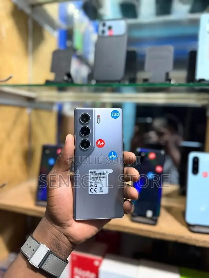 Nouveau Tecno Camon 40 Pro 4G 256 GB Gris