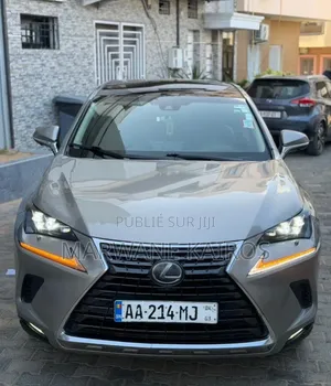 Lexus RX 2018 Gris