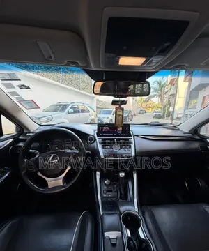 Lexus RX 2018 Gris