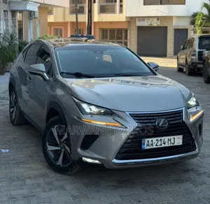 Lexus RX 2018 Gris