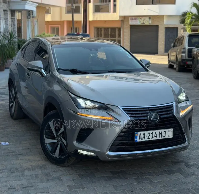 Lexus RX 2018 Gris