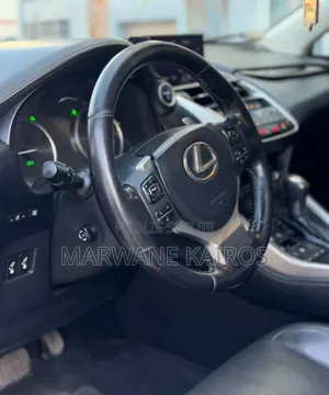 Lexus RX 2018 Gris