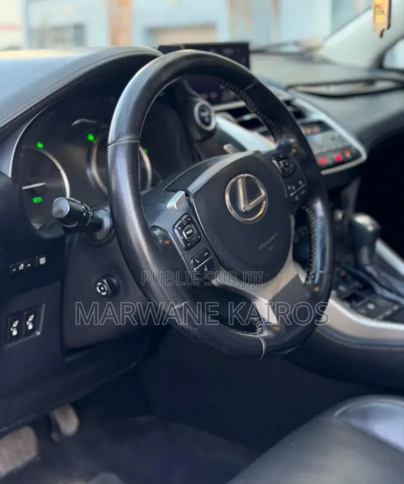 Lexus RX 2018 Gris