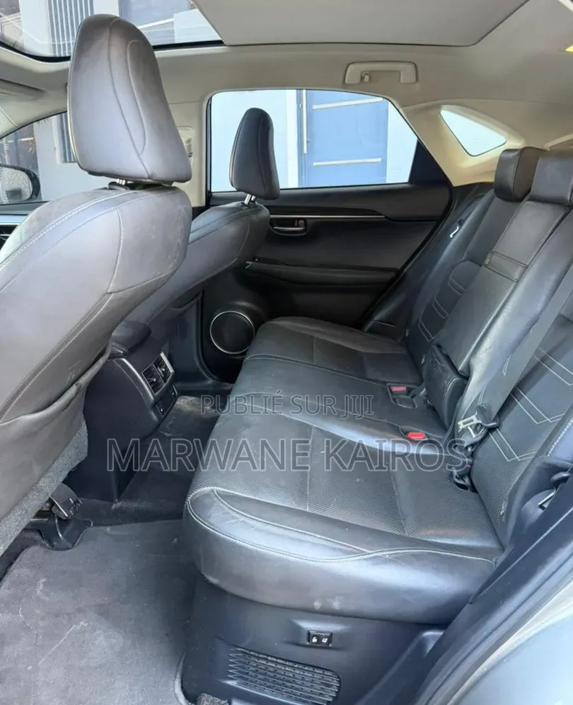 Lexus RX 2018 Gris