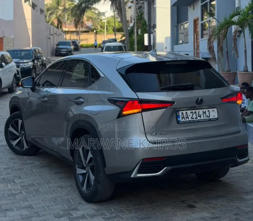 Lexus RX 2018 Gris