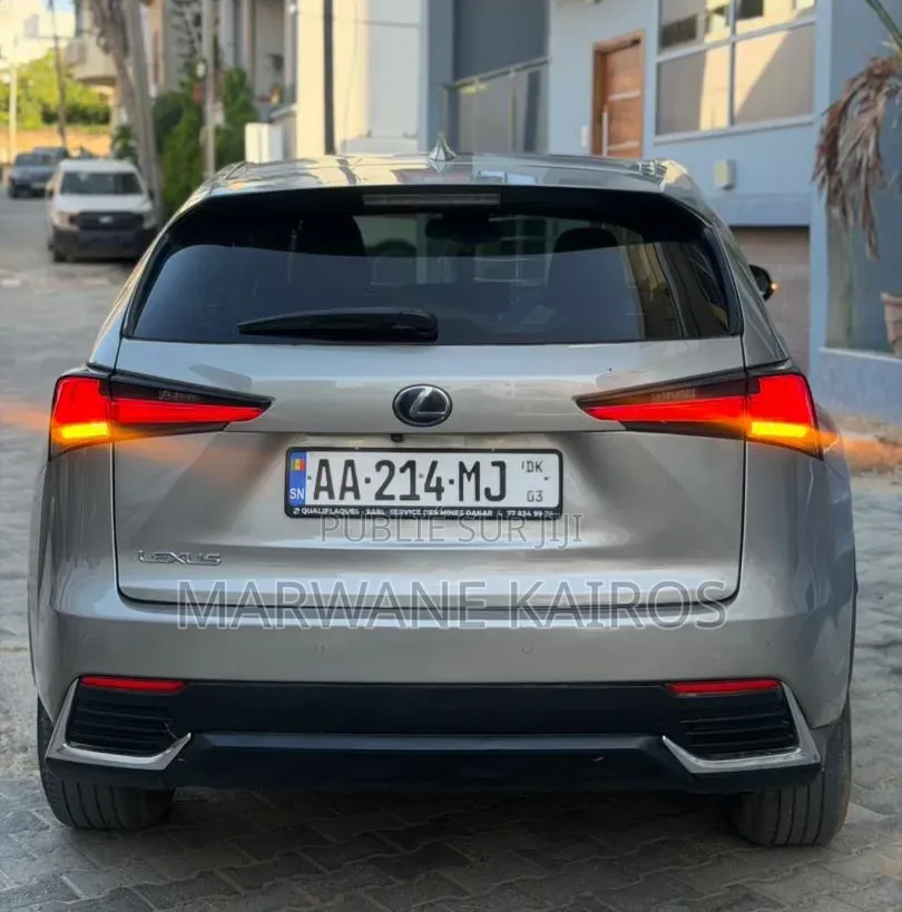 Lexus RX 2018 Gris