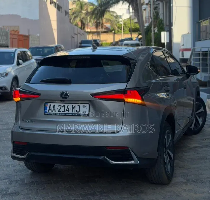Lexus RX 2018 Gris