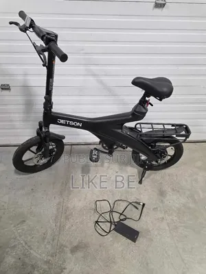 E Bike Draisienne