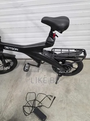 E Bike Draisienne