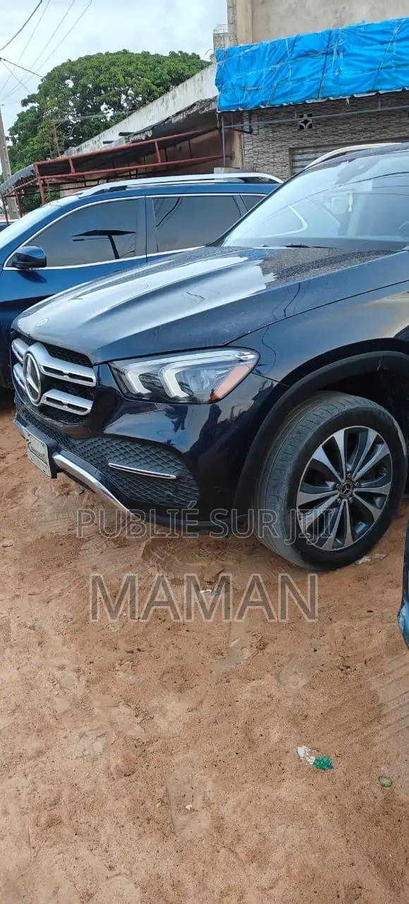 Mercedes-Benz GLE-Class GLE 450 4MATIC 2020 Bleu