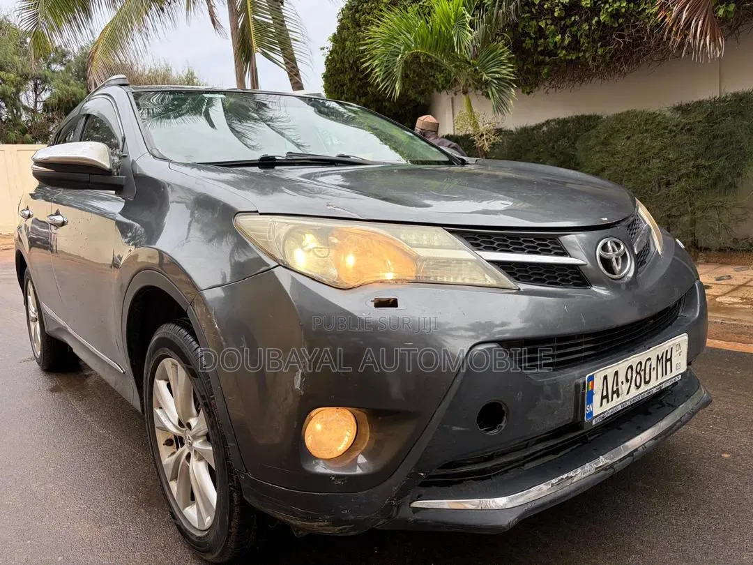 Toyota RAV4 2014 Gris