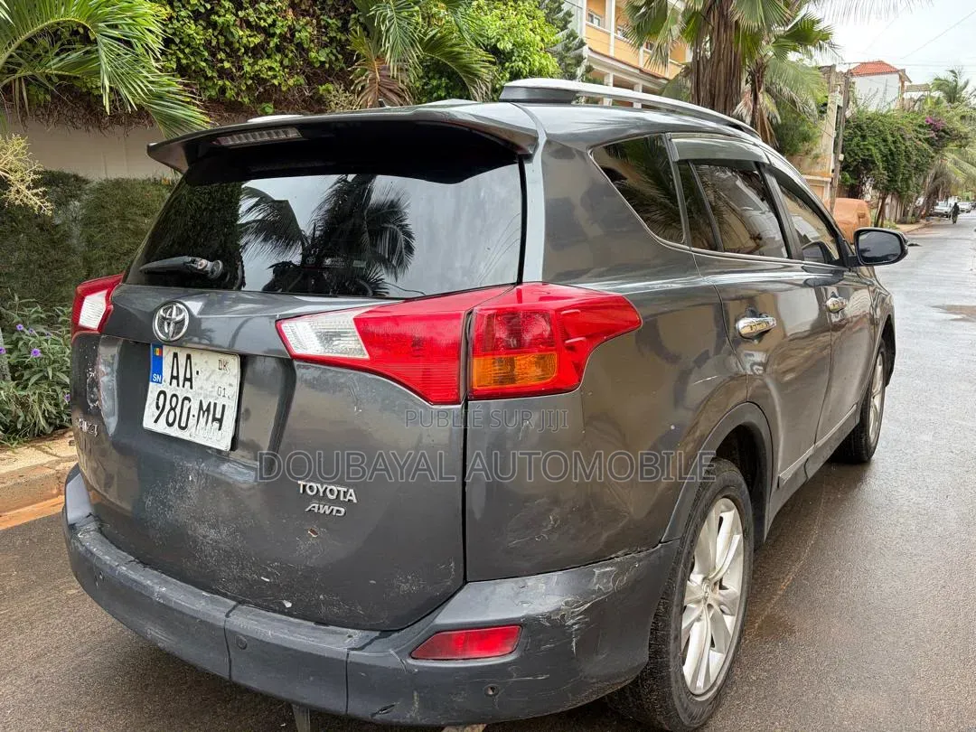 Toyota RAV4 2014 Gris