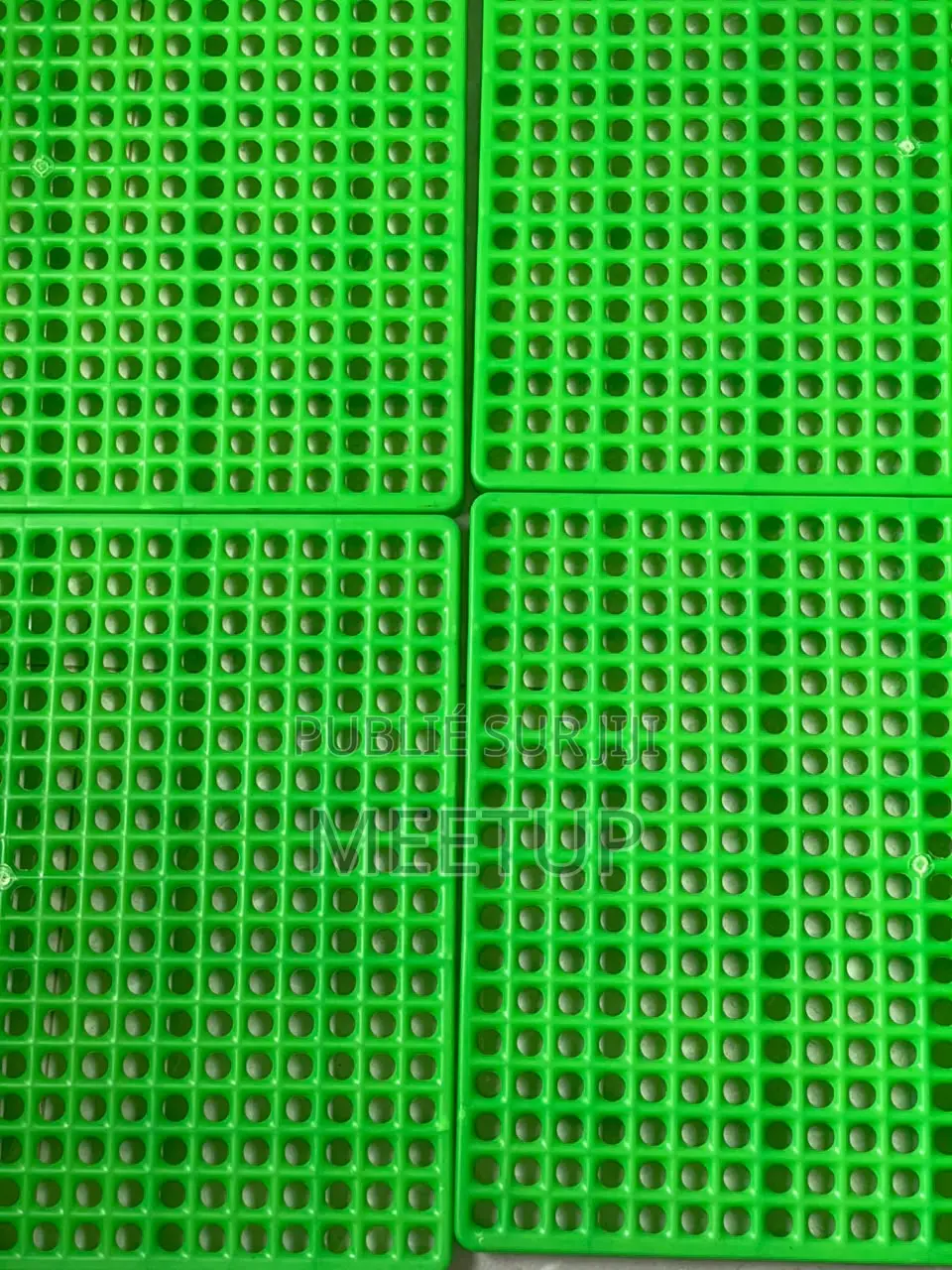 Tapis De Lapin