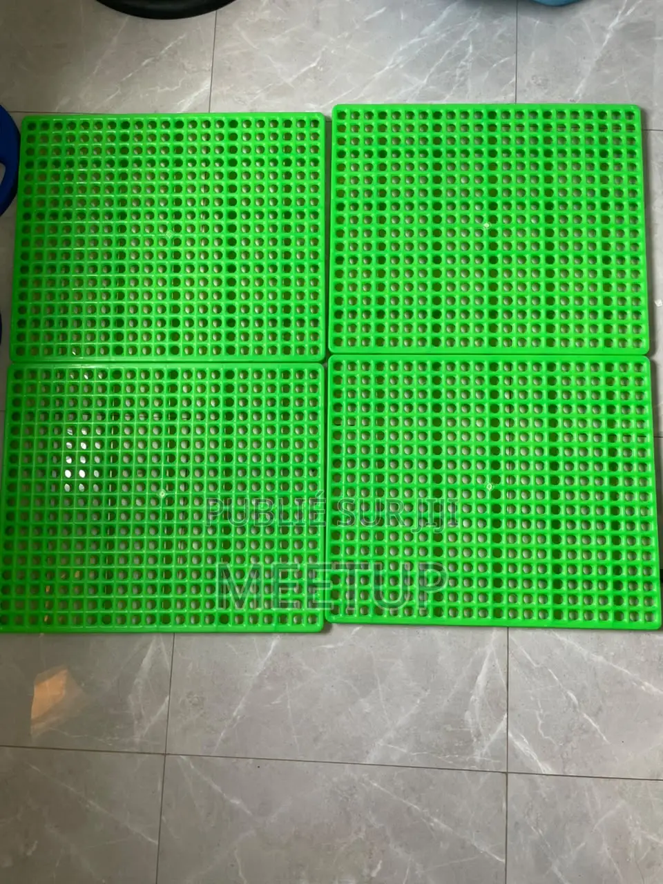 Tapis De Lapin