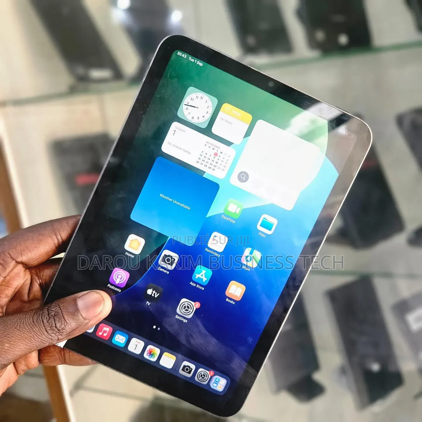 Nouveau Pomme iPad mini 6 256 GB Autre