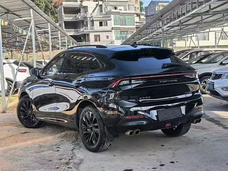 Wey VV7 2018 Blanc