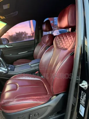 Hyundai Palissade 2019 Noir