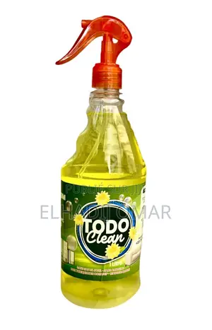 TODO Clean