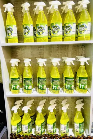 TODO Clean