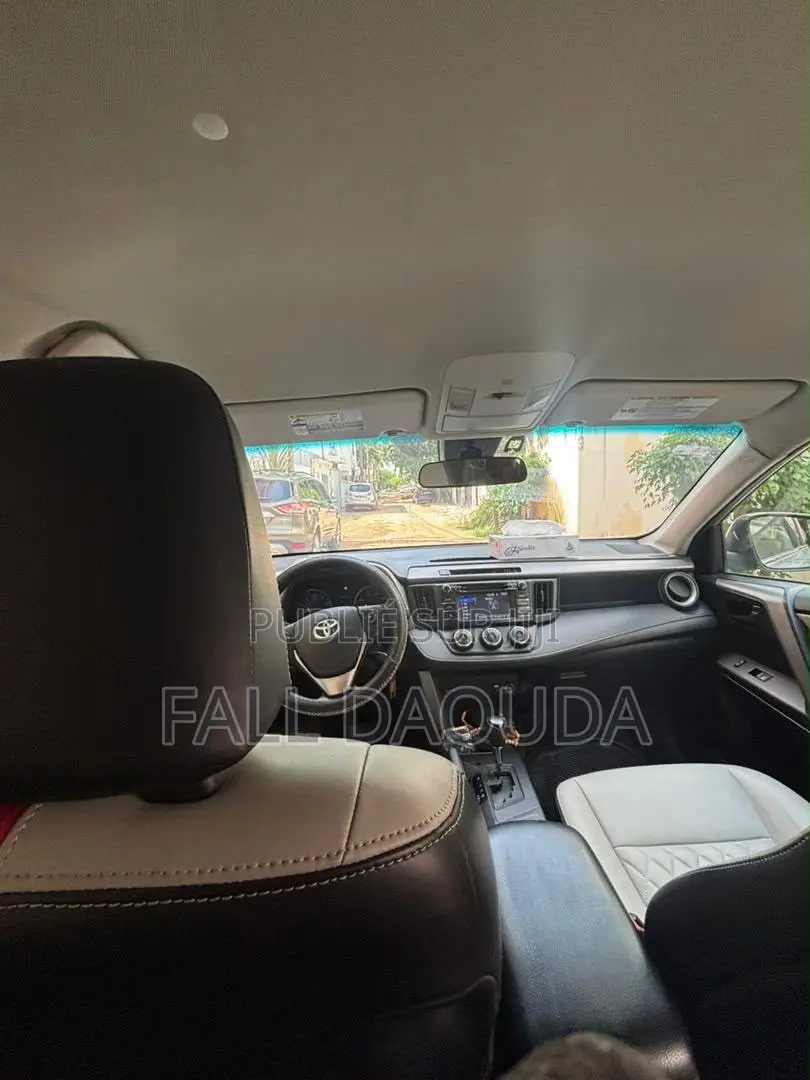 Toyota RAV4 2017 Gris