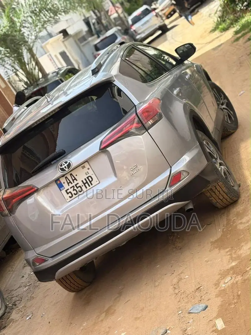 Toyota RAV4 2017 Gris