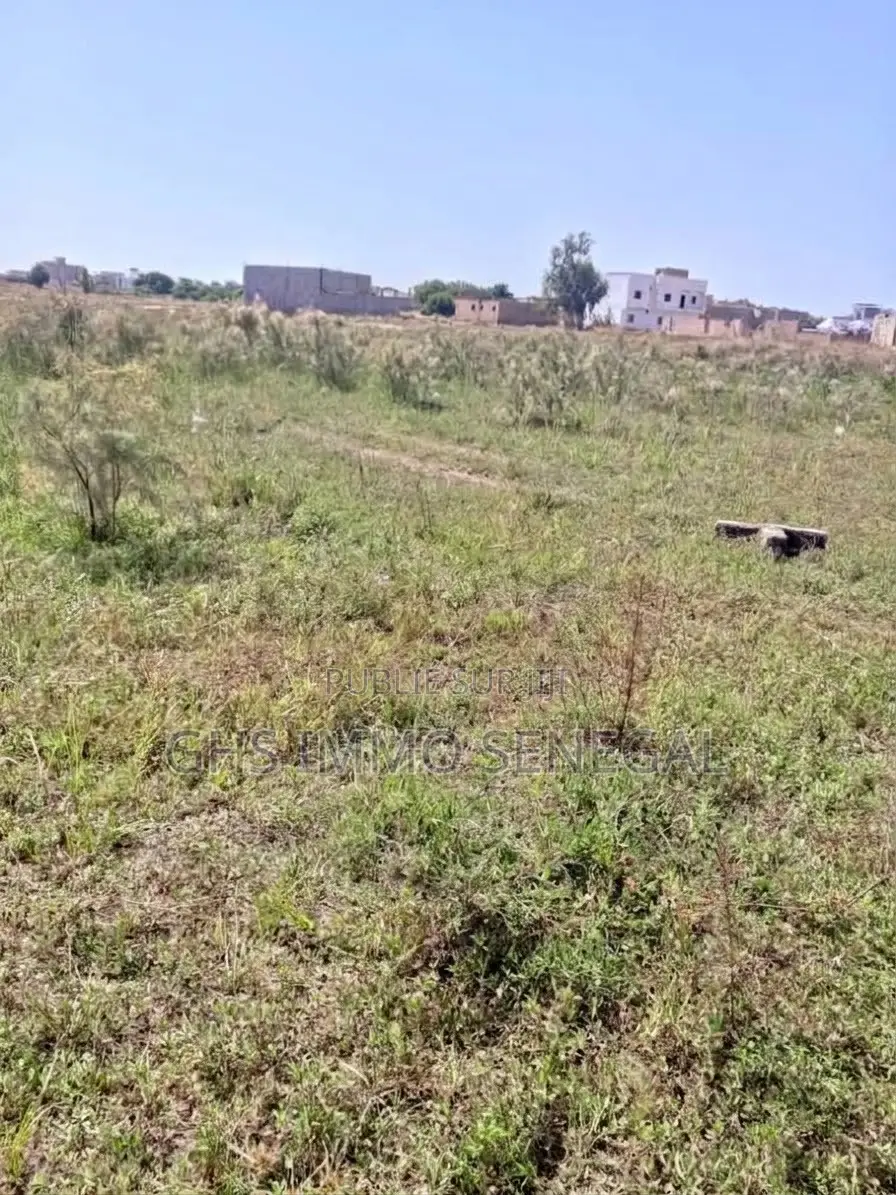 Terrain Tf Individuel Ndiakhirat