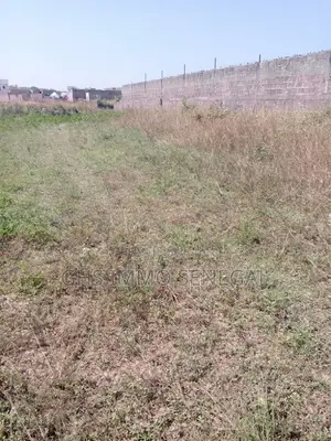 Terrain Tf Individuel Ndiakhirat