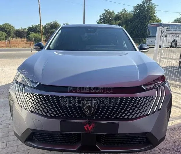 Peugeot 3008 2025 Gris