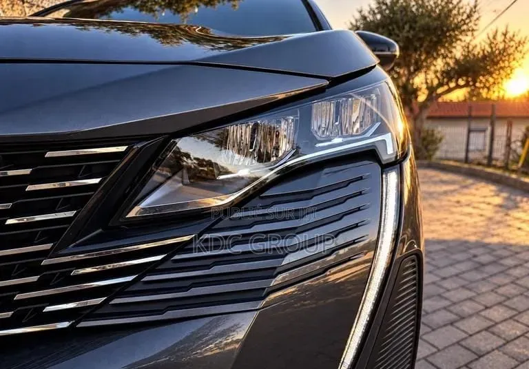 Peugeot 3008 2024 Gris