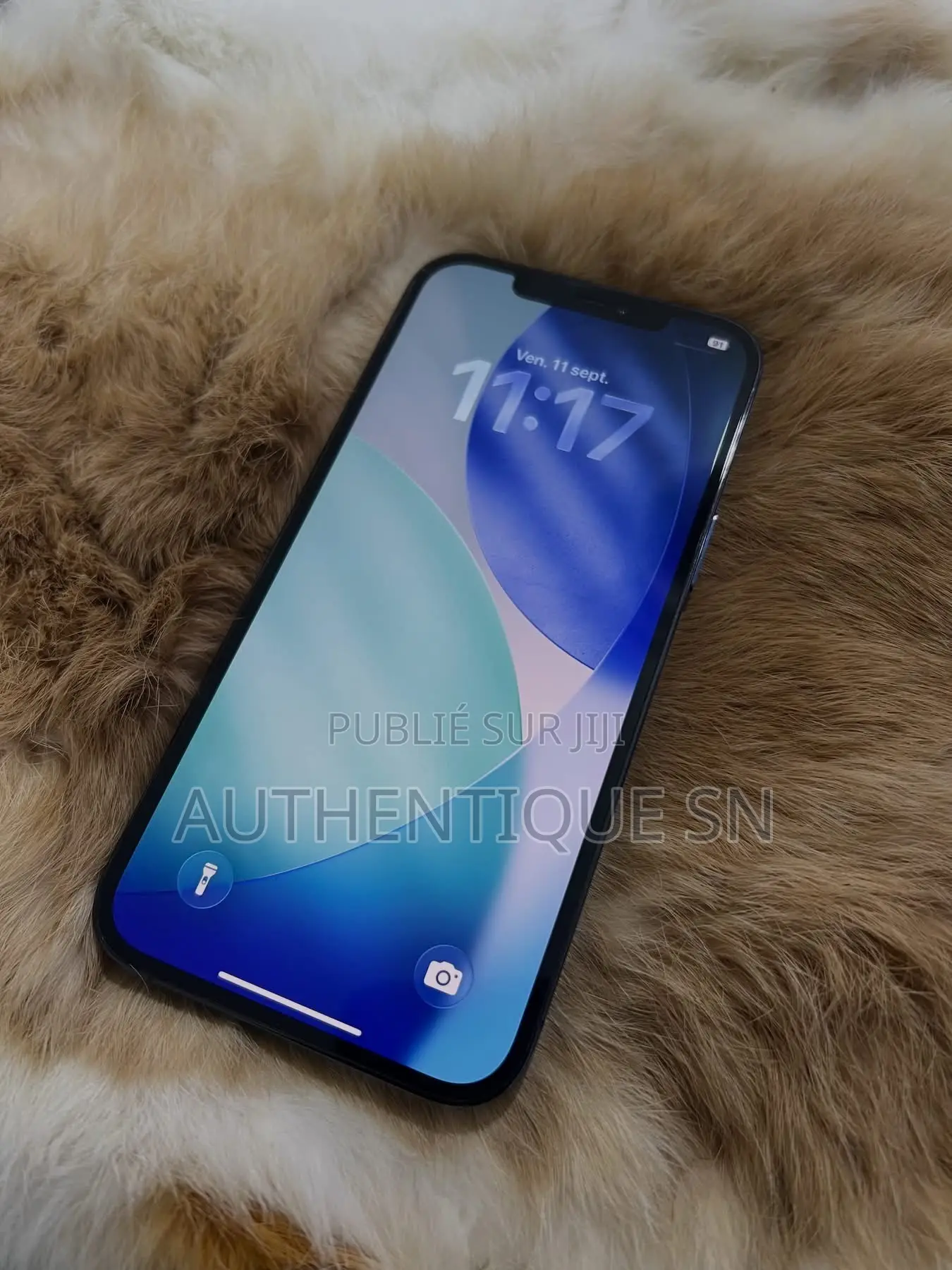 Nouveau Pomme iPhone 12 Pro Max 256 GB Bleu