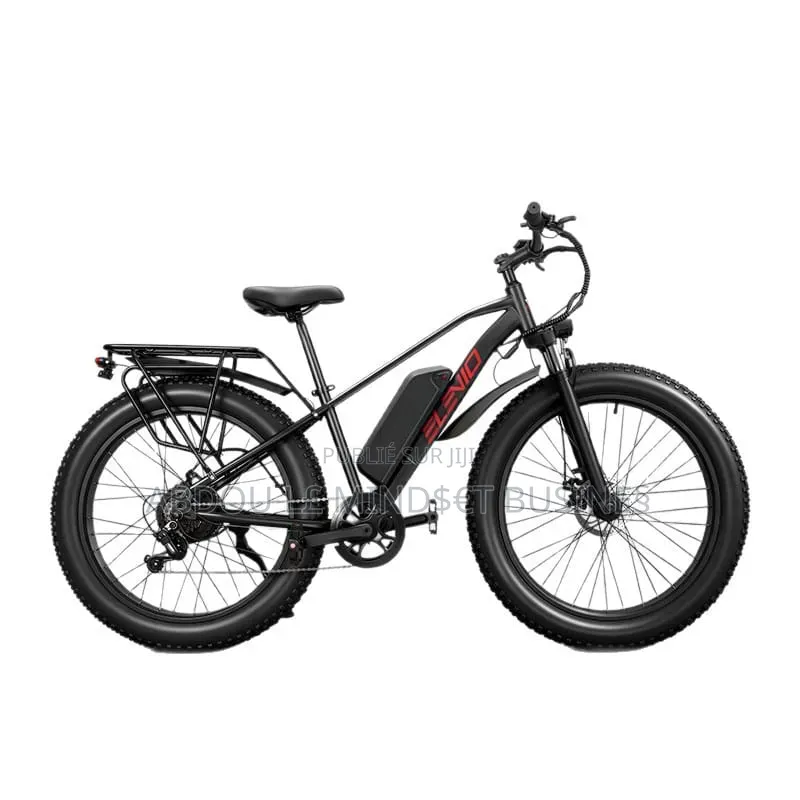Vélo Électrique Taille 26 ( 500W–48V–13AH )