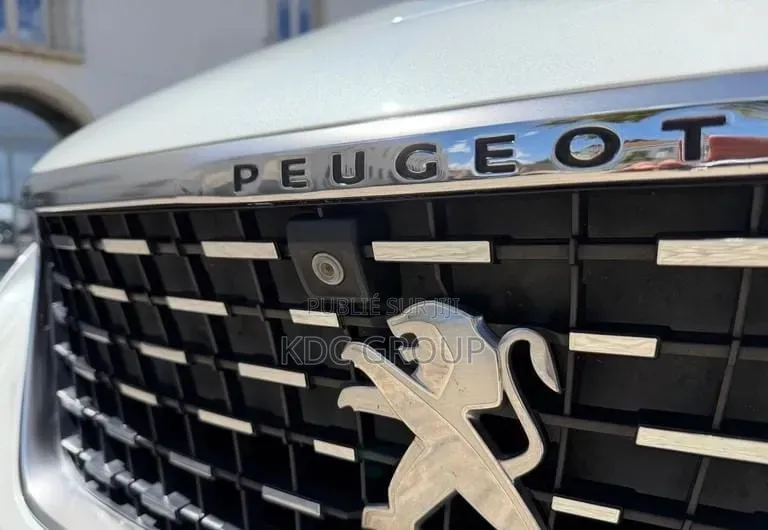 Peugeot 3008 2019 Blanc