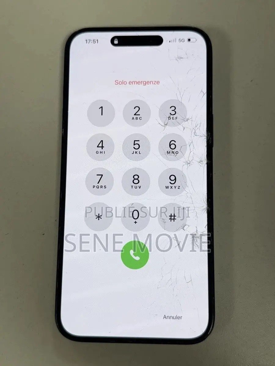 Pomme iPhone 13 256 GB Blanc