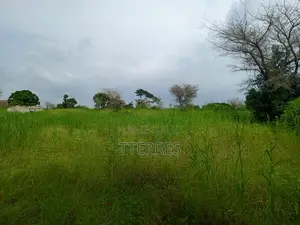 Location d'Une Ferme De 1 Hectare Vers Cherif Lo - Tivaouane