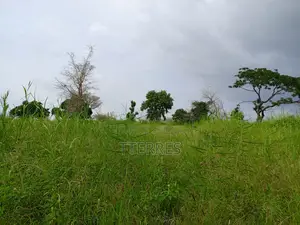 Location d'Une Ferme De 1 Hectare Vers Cherif Lo - Tivaouane