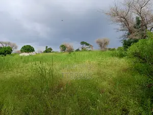 Location d'Une Ferme De 1 Hectare Vers Cherif Lo - Tivaouane