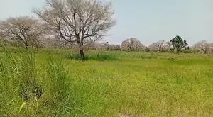 5 Hectares De Terre Agricole Vers Touba Toul - Thiès
