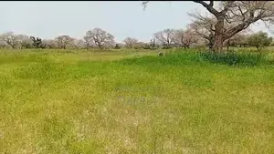 5 Hectares De Terre Agricole Vers Touba Toul - Thiès