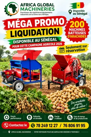 Machine Batteuse d'Arachides Neuve 12HP – 60 À 80 Sacs/Jour – Sénégal