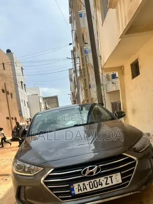 Hyundai Elantra 2018 Marron
