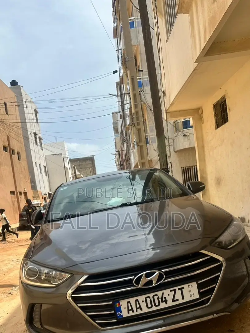 Hyundai Elantra 2018 Marron