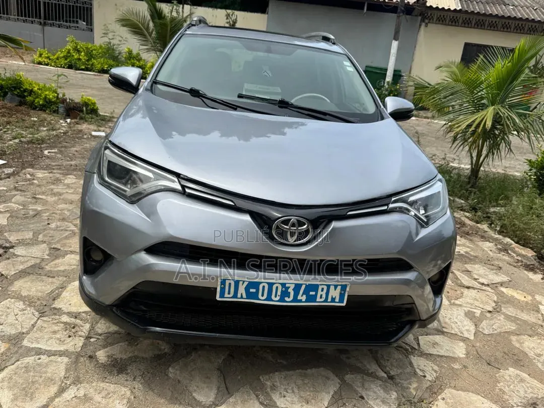 Toyota RAV4 2016 Gris