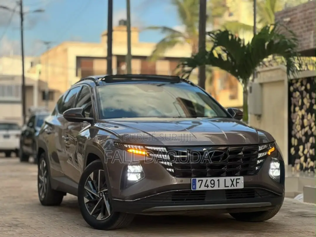 Hyundai Tucson 2022 Marron