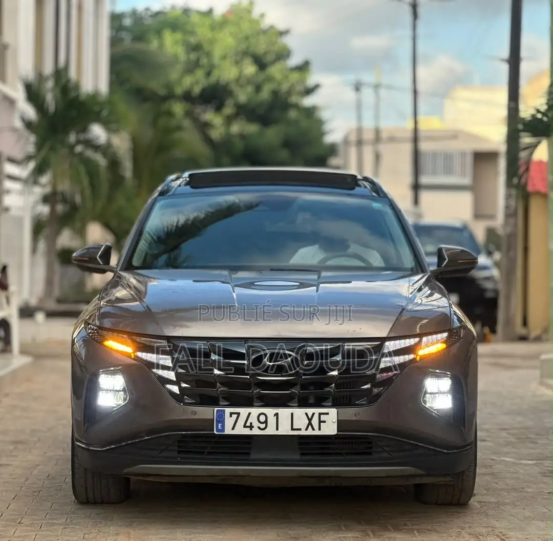 Hyundai Tucson 2022 Marron
