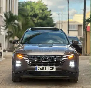 Hyundai Tucson 2022 Marron