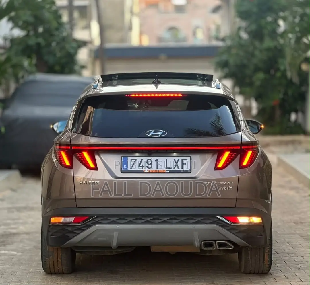 Hyundai Tucson 2022 Marron