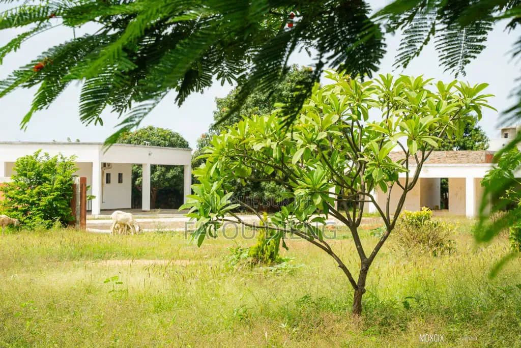 Meublé 4chbre Villa dans Sindia à Vendre
