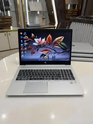 Nouveau HP ProBook 450 G7 8GB Intel Core i5 SSD 256GB