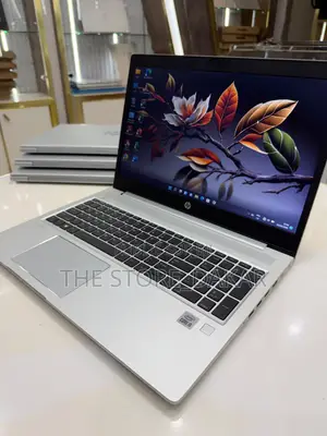 Nouveau HP ProBook 450 G7 8GB Intel Core i5 SSD 256GB