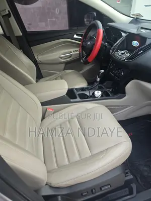 Ford Escape 2017 Gris